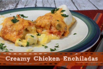 Creamy Chicken Enchiladas | www.pennypinchinmom.com #mexicanrecipes #foods #delish
