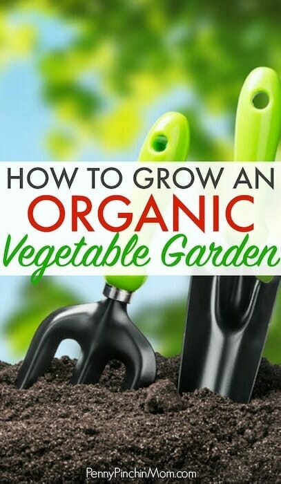 how to start an organic garden