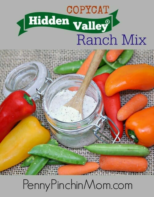 Hidden Valley® Ranch Seasoning Mix Copycat Recipe
