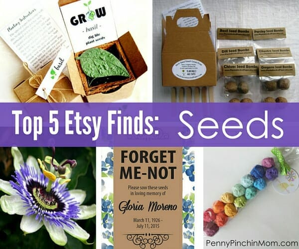 I just love Etsy! Have you ever shopped on that site? They have a TON of handmade items and products! This week's five favorite finds on Etsy are all about seeds! See the fun things you can get!