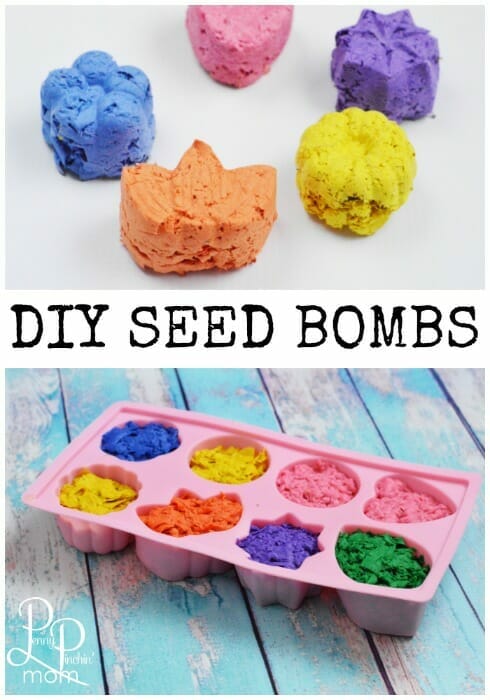 DIIY Seed bombs gardening hack