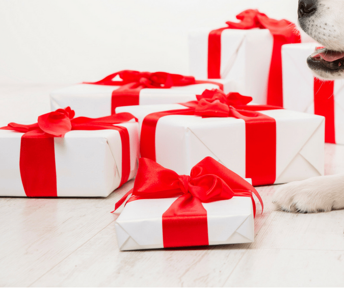 pet lover gift ideas