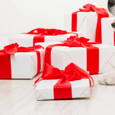 25 Affordable Gifts for Dog and Cat Lovers