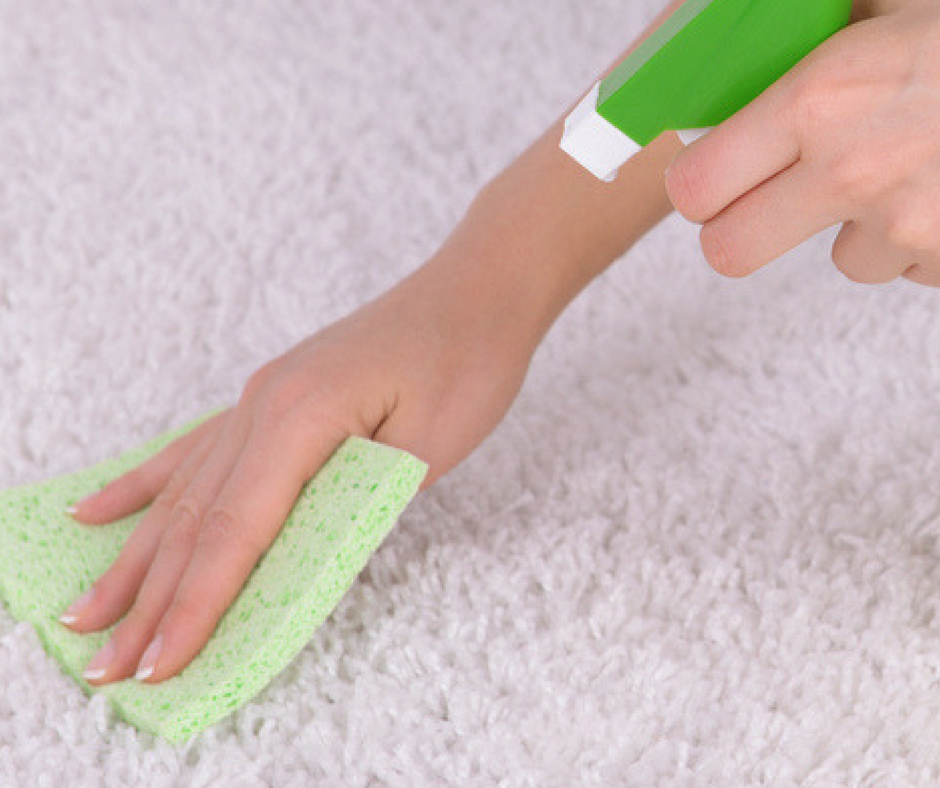 Simple Homemade Carpet Cleaner for
