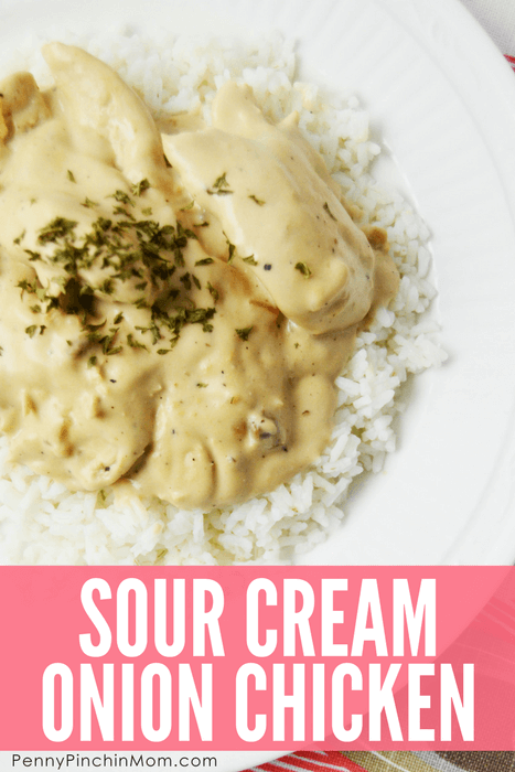sour cream and onion chicken recipe - easy dinner idea