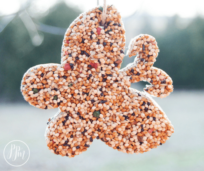 Easy Bird Seed Shapes A Simple Way To Feed The Birds