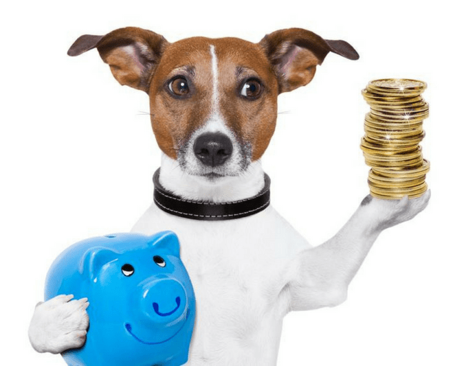 Save Cash at PetsMart